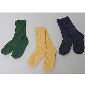 color 골지 socks